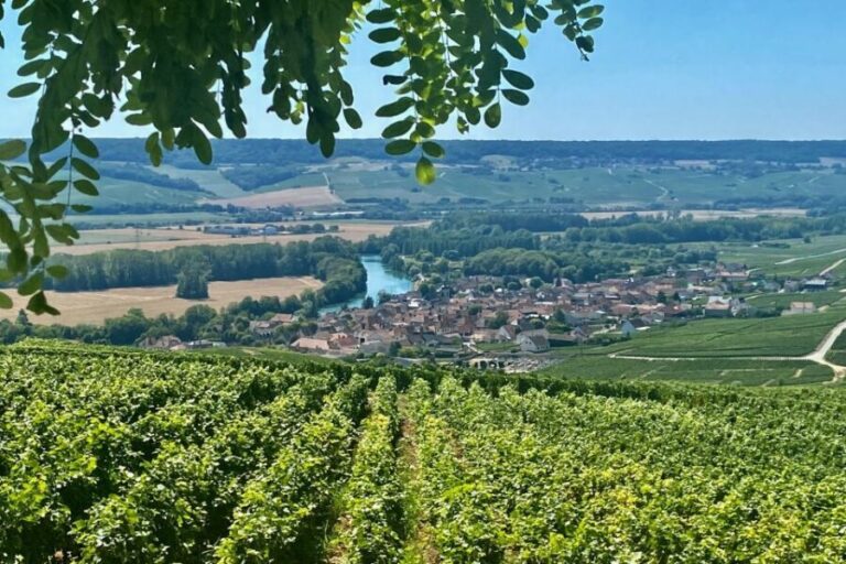 Private Champagne Moet et Chandon Veuve Clicquot by Mercedes - Who Will Love This Tour?