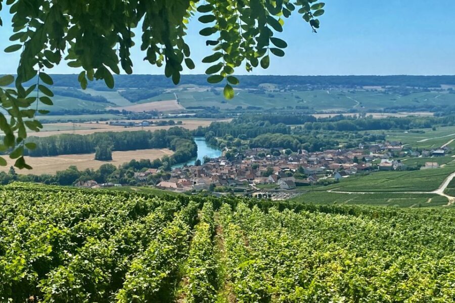Private Champagne Moet et Chandon Veuve Clicquot by Mercedes - Who Will Love This Tour?