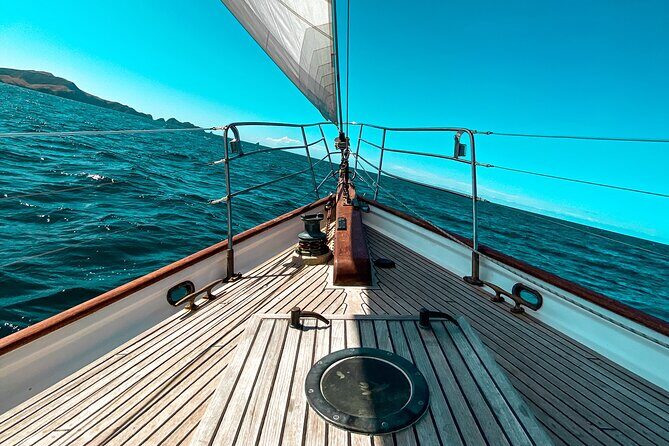 Private Charter Bay of Islands - Who Will Love This Tour?