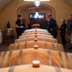 Private Chianti and SuperTuscan Tour 2 wineries with Light Lunch from Livorno - A Deep Dive into the Tuscany Wine Tour from Livorno