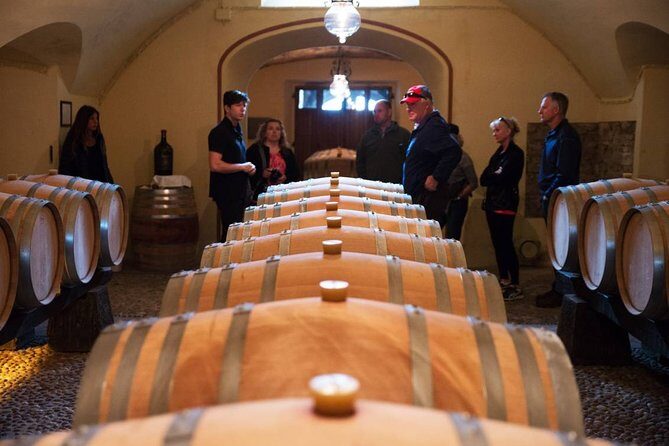 Private Chianti and SuperTuscan Tour 2 wineries with Light Lunch from Livorno - A Deep Dive into the Tuscany Wine Tour from Livorno
