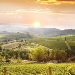 Private Chianti wine tour leaving from Florence - Who Should Book This Tour?