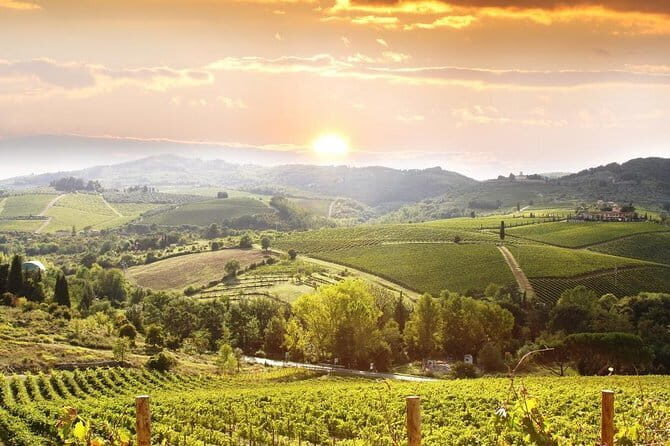 Private Chianti wine tour leaving from Florence - Who Should Book This Tour?