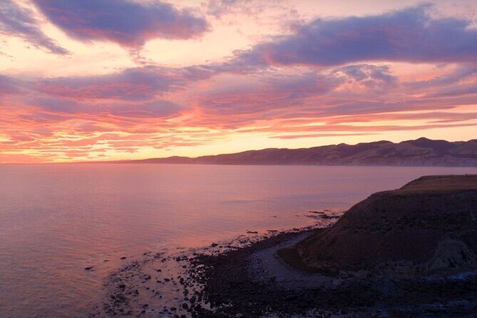 Private Christchurch City Highlight Half Day Tour - Authentic Experiences and Practical Details