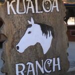 Private Circle Island Full Day up to 14 people (Se habla Español) - FAQs