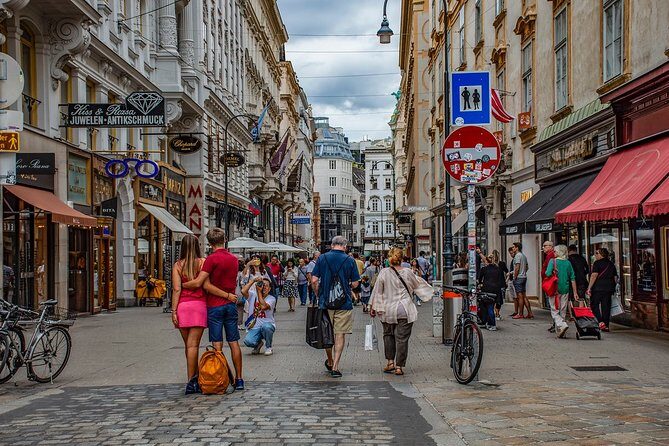 Private city tour of Vienna with driver and guide with hotel pick up - Final Thoughts