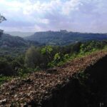 PRIVATE Civita di Bagnoregio and Orvieto Wine Tasting -Ebike tour - The Value of This Tour