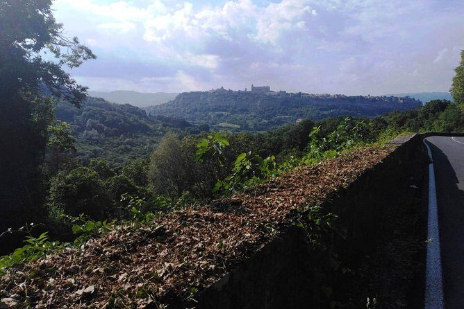 PRIVATE Civita di Bagnoregio and Orvieto Wine Tasting -Ebike tour - The Value of This Tour