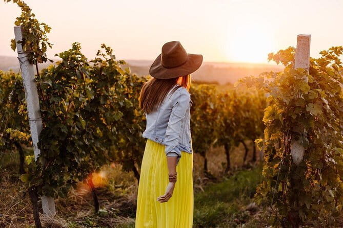 Private Classic Wine Tour in Chianti from Florence - Exploring the Heart of Chianti: An Honest Breakdown