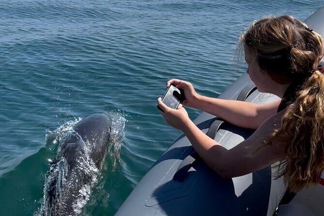 Private Coastal Boat Tour in Torquay - Real Experiences from Travelers