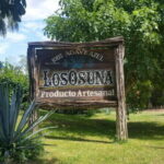 Private Colonial Tour Tequila and the Noria - A Closer Look at the Tour Experience