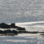 Private Connemara Day Tour - Why This Tour Works for You