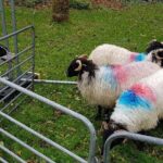 Private Connemara Day Tour - The Value of This Private Tour
