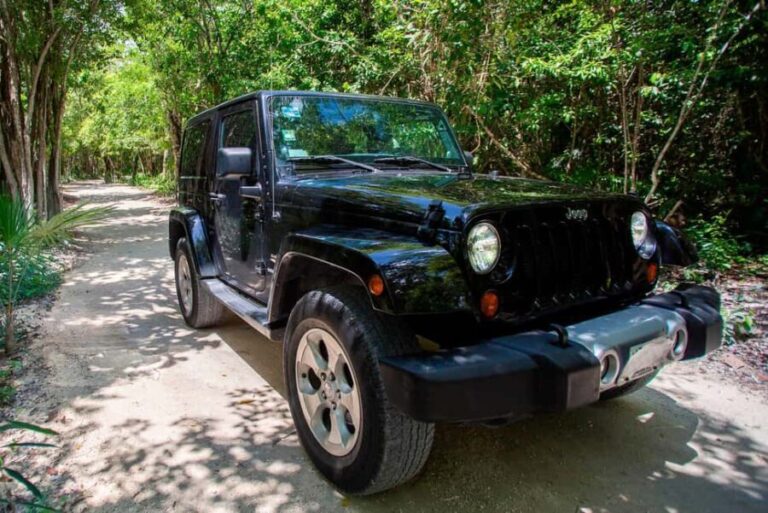 Private Cozumel Jeep and Jade Cavern Cenote Tour - Final Thoughts