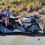 Private Cruise Ship Passengers Tour, Sightseeing in Christchurch - The Sum Up