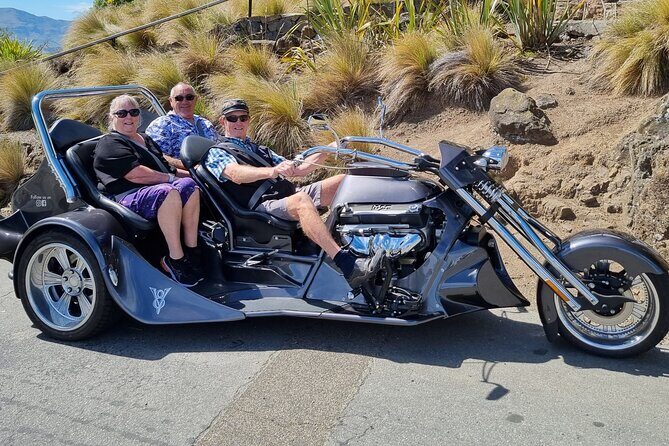 Private Cruise Ship Passengers Tour, Sightseeing in Christchurch - The Sum Up
