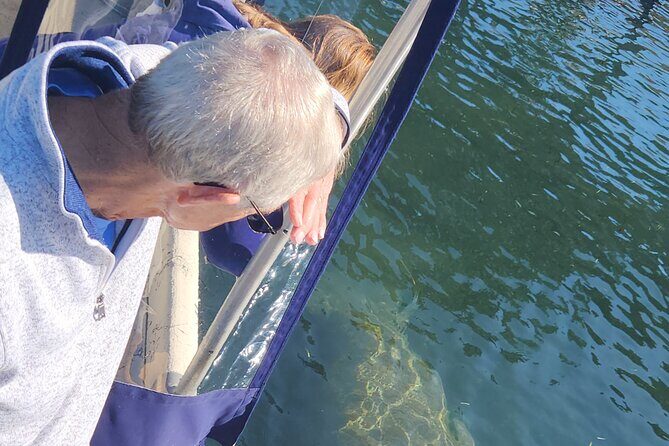 Private Crystal River Wildlife Boat Tour - Frequently Asked Questions (FAQs)