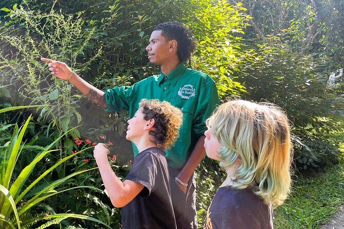 Private Cultural Discovery Tour on the Atherton Tablelands - Who Will Love This Tour?
