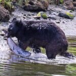 Private Custom Excursion with a Local for up to 14 people - The Details That Matter