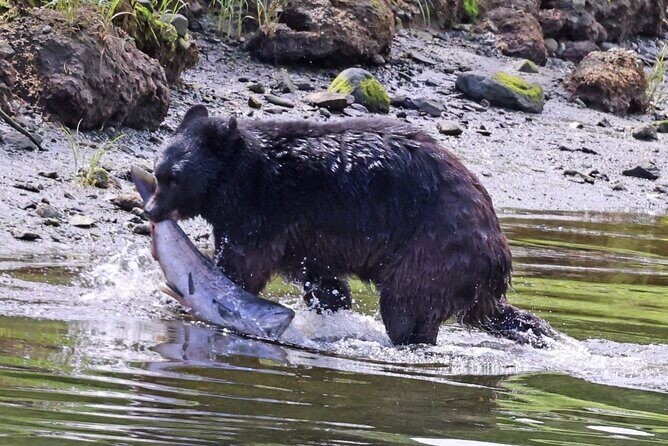 Private Custom Excursion with a Local for up to 14 people - The Details That Matter