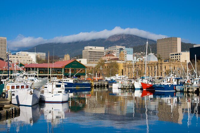 Private custom tour with a local guide Wellington - Why This Tour Works Well