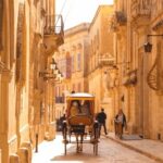 Private Customizable 6hr tour - Practical Details & Tips