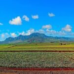 Private Customizable Oahu Grand Circle Island Tour from Waikiki - What You’ll Appreciate About the Tour