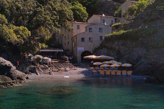 Private daily tour and charter boat from Portofino - Final Thoughts: Why Choose This Tour?