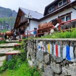 Private day hike from Brasov to Malaiesti Cottage - Why This Tour Offers Excellent Value