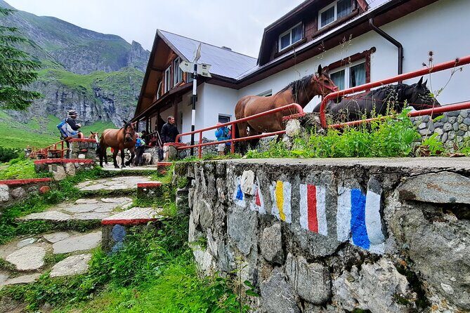 Private day hike from Brasov to Malaiesti Cottage - Why This Tour Offers Excellent Value