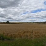 Private Day in the Cotswolds Tour - An In-Depth Look at the Private Cotswolds Tour