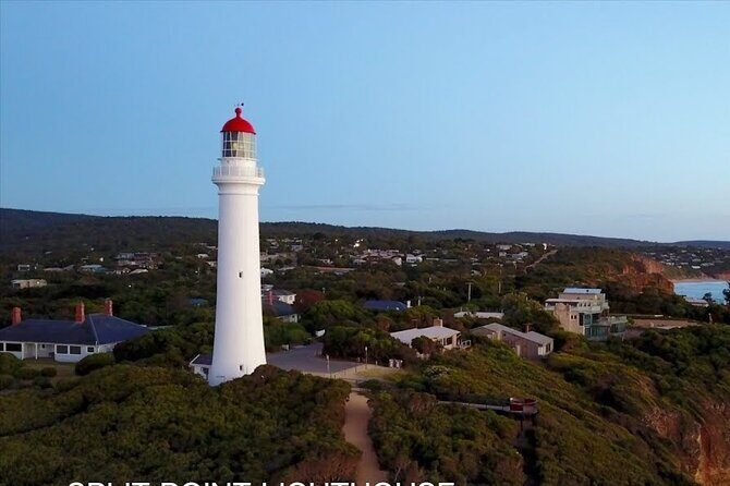 Private Day Tour at The Great Ocean Road - Why This Tour Offers Great Value