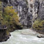 Private Day tour from Interlaken: Lake, Gorge & Waterfall - Who Should Consider This Tour?