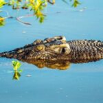 Private Day Tour Kakadu - What We Loved