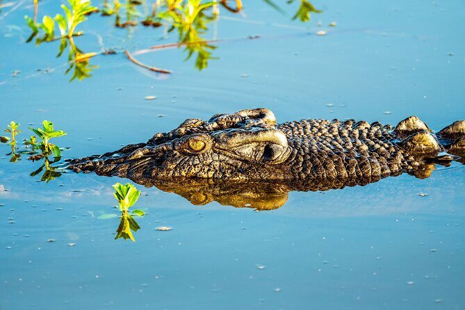 Private Day Tour Kakadu - What We Loved