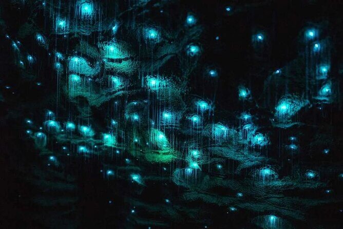 Private Day Tour of Ruakuri Cave, Glowworm and Hobbiton Movie Set - The Waitomo Glowworm Caves Experience
