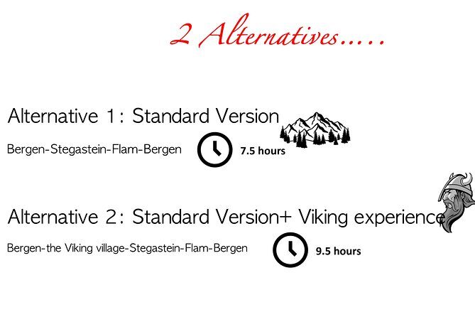Private Day Tour to Flam and Stegastein - What We Think About the Value