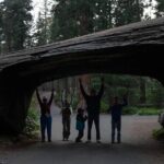 Private Day Tour to Sequoia and Kings Canyon Parks From LA - The Value of a Private Guided Tour
