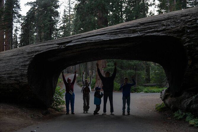 Private Day Tour to Sequoia and Kings Canyon Parks From LA - The Value of a Private Guided Tour