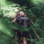 Private Day Trip at the Blue Mountains - Exploring the Blue Mountains: A Detailed Review