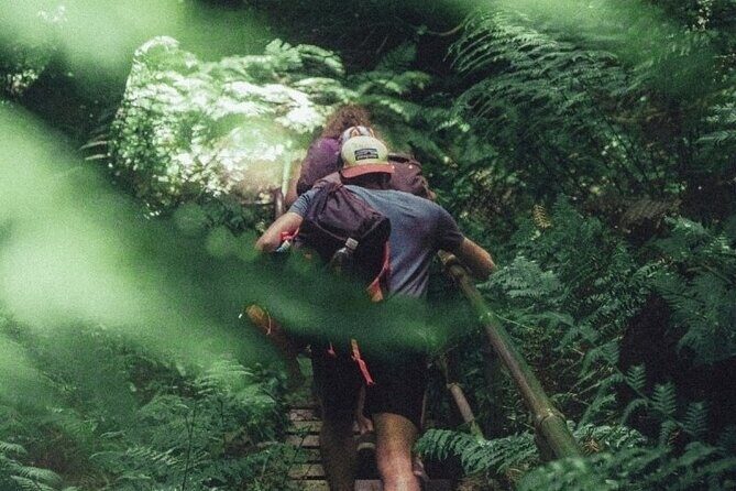 Private Day Trip at the Blue Mountains - Exploring the Blue Mountains: A Detailed Review