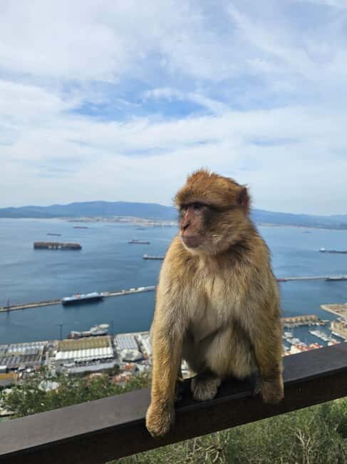 Private Day Trip: Gibraltar & (Tangier) Morocco from Seville - Final Thoughts