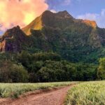 Private Day Trip Hike and Boat in Moorea - A Deep Dive into Moorea’s Private Day Trip