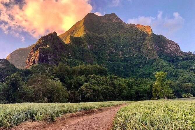 Private Day Trip Hike and Boat in Moorea - A Deep Dive into Moorea’s Private Day Trip
