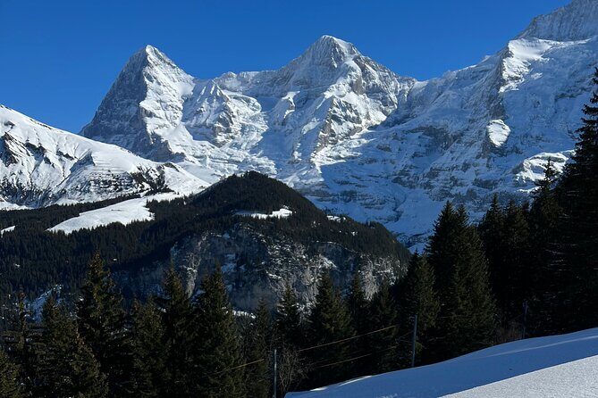 Private Day Trip in the Heart of the ALPS - Jungfrau Region - A Closer Look at the Experience
