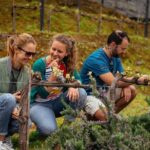 PRIVATE Day Trip Through Enchanting Douro Valley by Car & Boat - Authentic Experiences and What You’ll Take Away