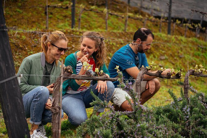 PRIVATE Day Trip Through Enchanting Douro Valley by Car & Boat - Authentic Experiences and What You’ll Take Away
