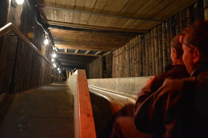 Private Day Trip to Hallstat & Salt Mine from Vienna with a local - Practical Tips & Considerations
