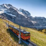 Private Day Trip to Jungfrau and Lauterbrunnen - Who Will Love This Tour?