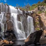 Private Day Trip to Nature's Wonderland Grampians Grandeur - The Practicalities